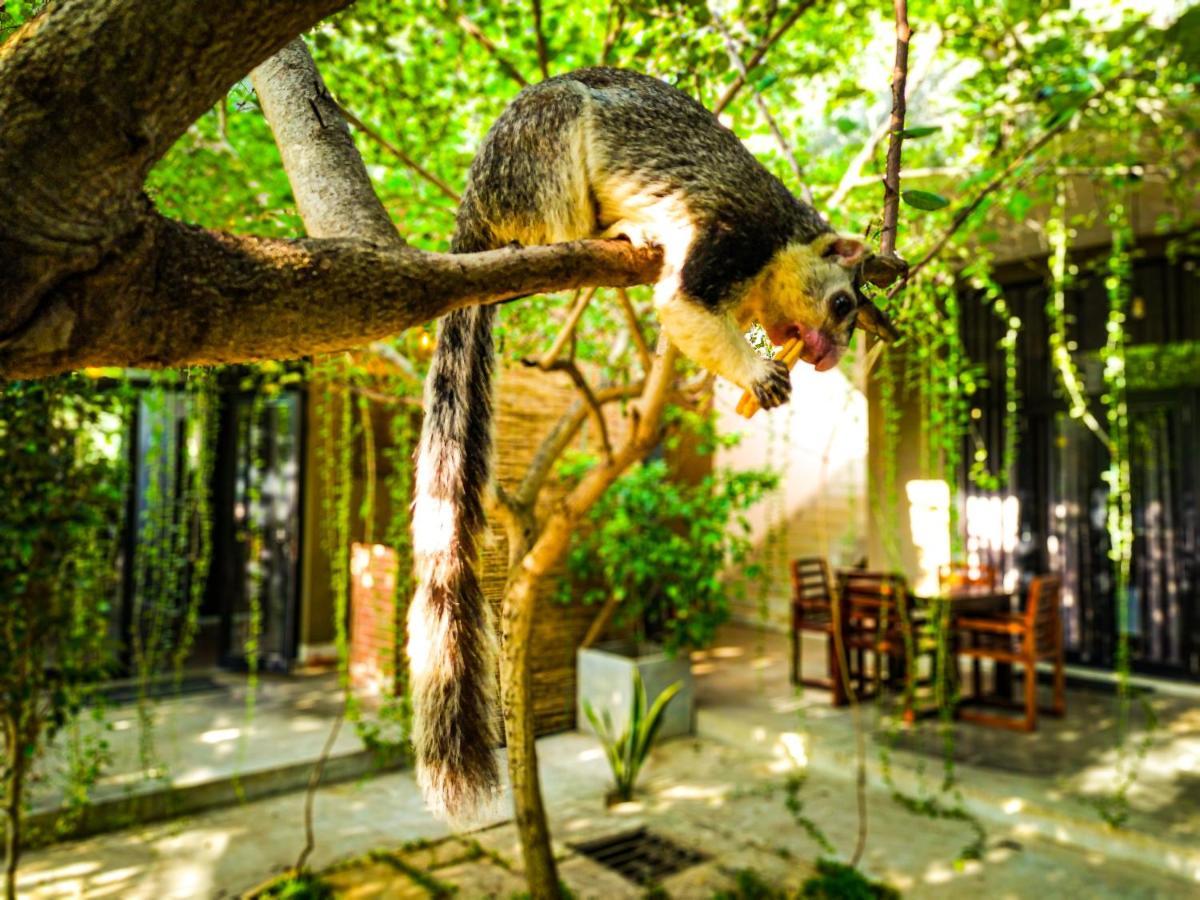 Isi Arana Eco Villa Anuradhapura Exterior foto
